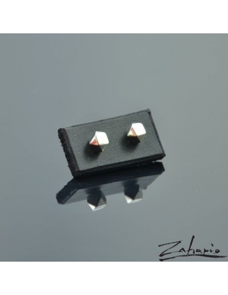Earrings Silver