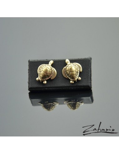 Earrings Turtles Bronze