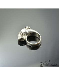 Ring Bull Terrier Silver 2