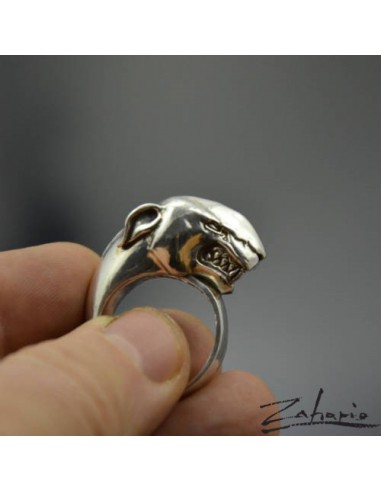 Ring Bull Terrier Silver