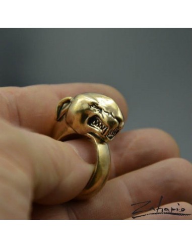 Ring Bull Terrier Bronze