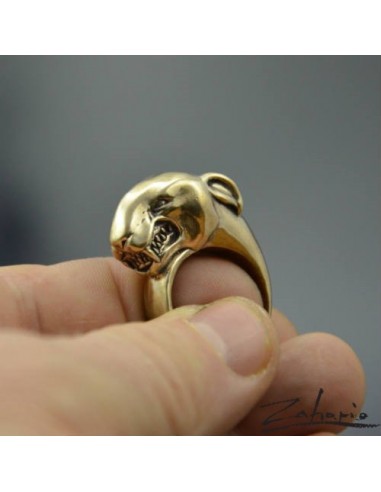 Ring Bull Terrier Bronze