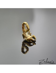 Pendant Scorpion Bronze