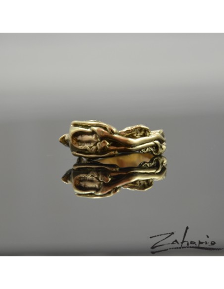 Pierścień Głód Brąz