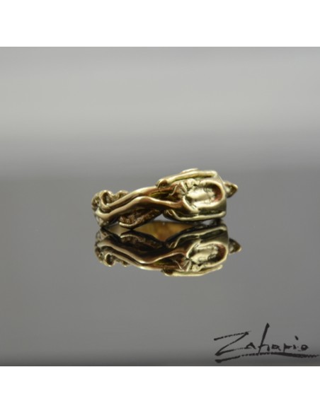 Ring Famine Bronze