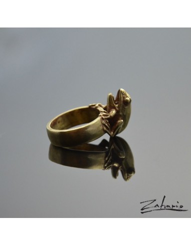 Ring Frog Bronze