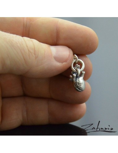 Pendant Anatomical Heart Small Silver