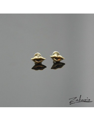 Earrings  Kiss Bronze