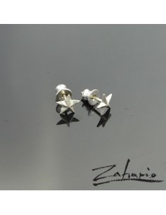 Earrings Stars Sliver